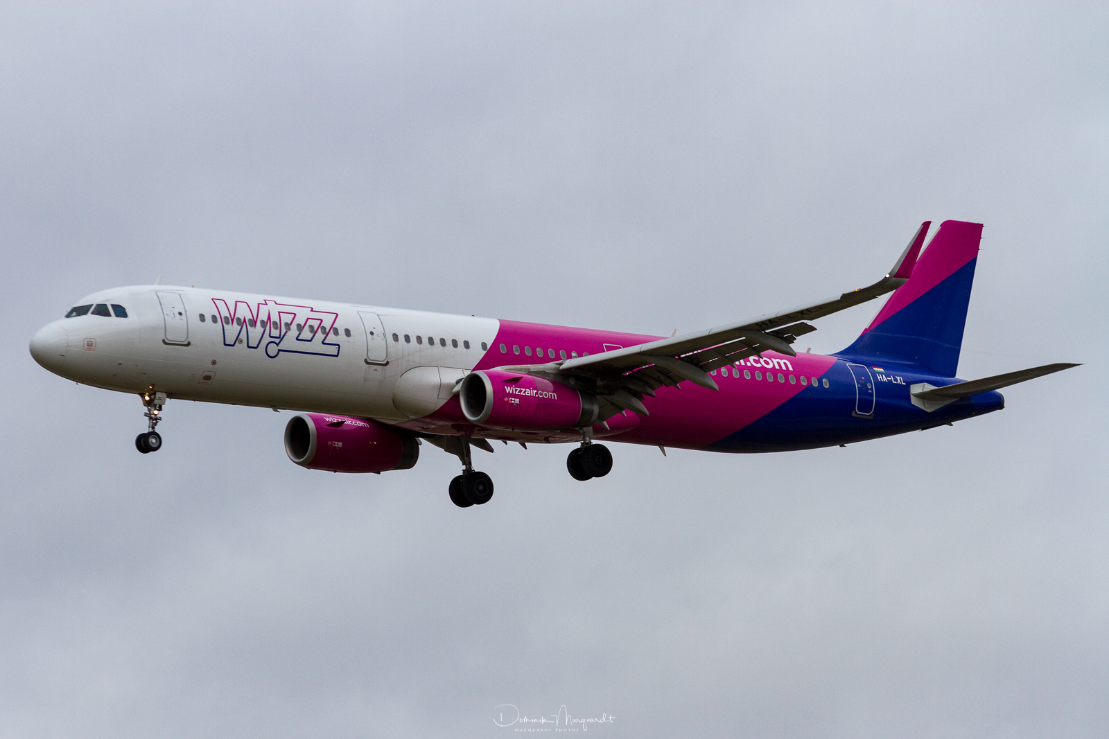 Wizz Air / Airbus A321-231 / HA-LXL / FRA / EDDF